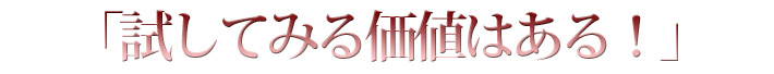 「試してみる価値はある！」